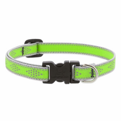 1/2x8-12"GD Dog Collar 48134