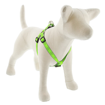 3/4x15-21GD Dog Harness