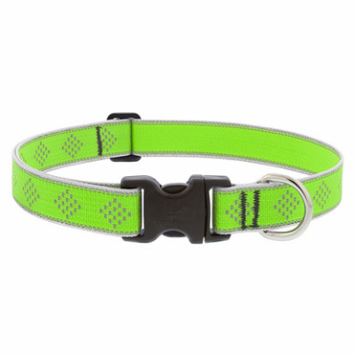 1x12-20" GD Dog Collar