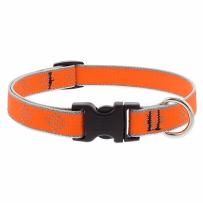 3/4x9-14" OD Dog Collar