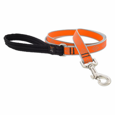 3/4x6' OD Dog Leash