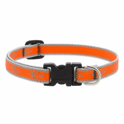 1/2x8-12"OD Dog Collar