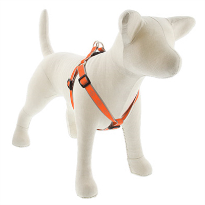 3/4x20-30OD Dog Harness