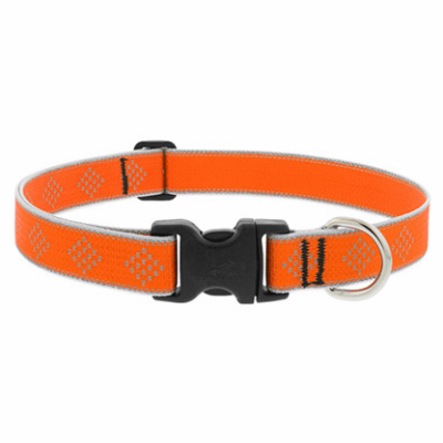 1x12-20" OD Dog Collar