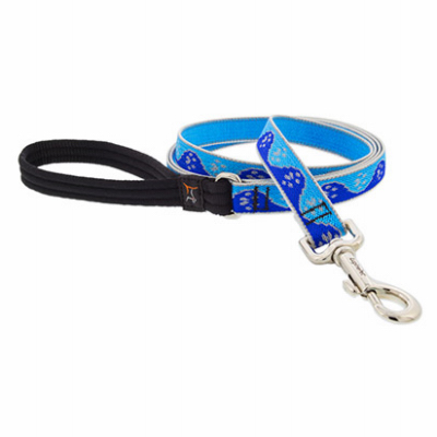 3/4x6' BP Dog Leash