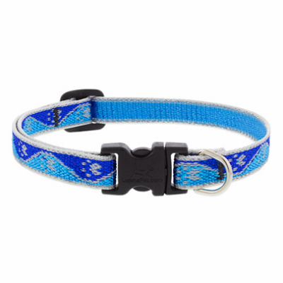 1/2x8-12"BP Dog Collar