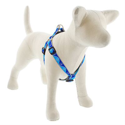 3/4x15-21BP Dog Harness