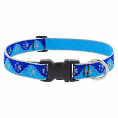 1x12-20" BP Dog Collar