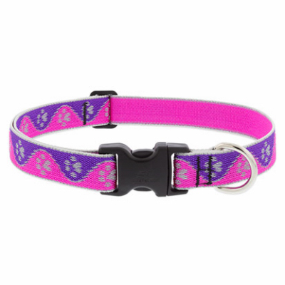 1x12-20" PP Dog Collar