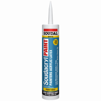 10.1OZ WHT Paint Caulk