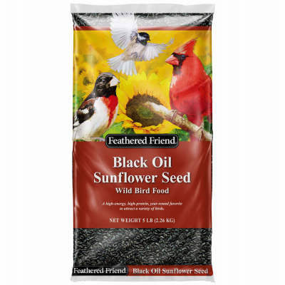 5LB Black Sunflower Seed