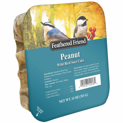 Feathered Friend Suet Peanut