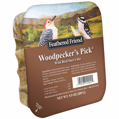 Woodpecker Suet