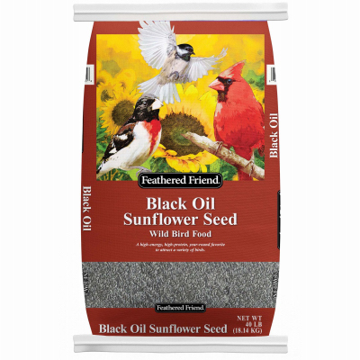 40LB Black Oil Sunflower Seed