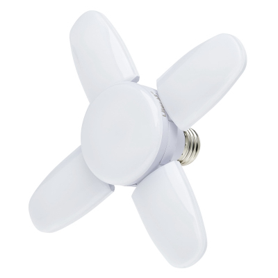 5-Panel Fold Lightbulb