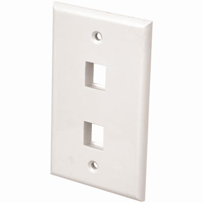 WHT 2Port Wall Plate