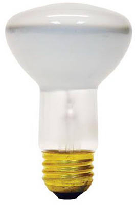 GE 45W R20 Refl Bulb
