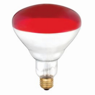 6PK 250W R40 RED Lamp