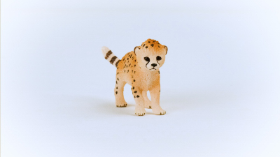 Cheetah Cub