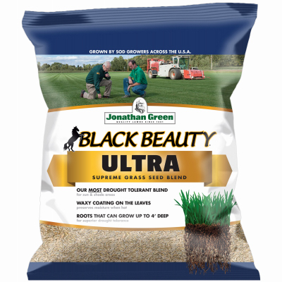 BLK Beaut3LB Grass Seed 10321