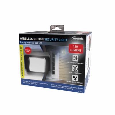 Motion Security Light