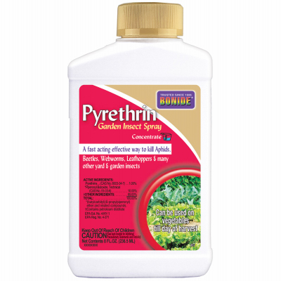 8OZ Concentrate Pyrethrin Spray