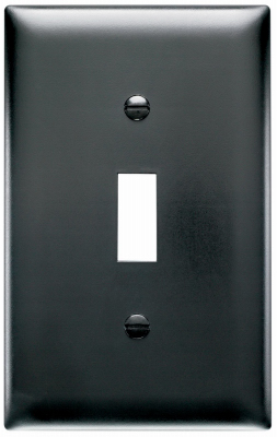 BLK 1G Nyl Wall Plate