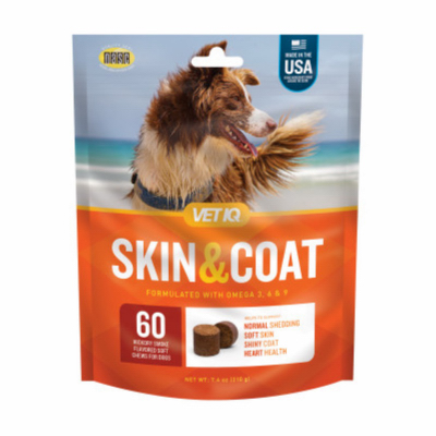60CT Skin & Coat Chews