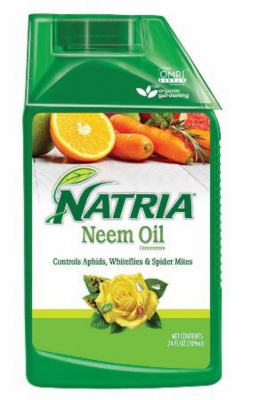 24OZ Neem Oil