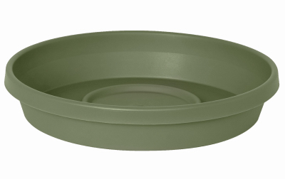 6" GRN Terra Saucer