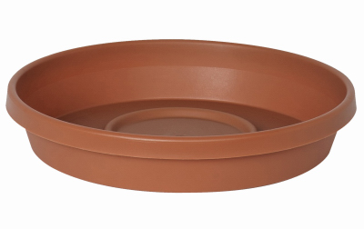 6" TC Terra Saucer