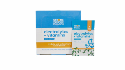 6G Electrolyte/Vitamins