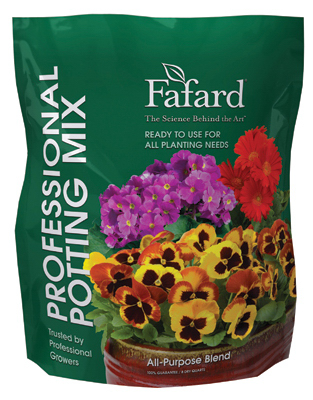 4"Braeburn Mint Planter
