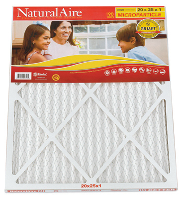20x25x1Pleat Nat Filter