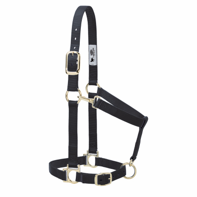 BLK 1" Adj Nyl Halter