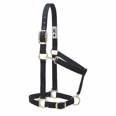 BLK 1" Adj Halter