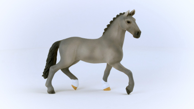 Cheval de Selle Francai Horse