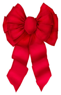 11 Loop Deluxe Red Velvet Bow