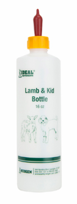 16OZ Lamb Bottle