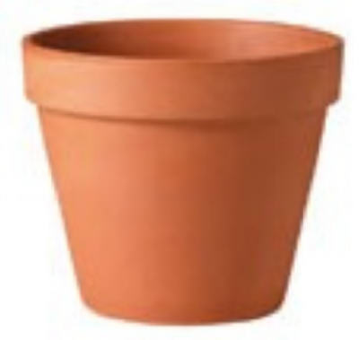 6" Standard Clay Pot