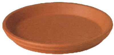 6" Clay Plant Pot Saucer