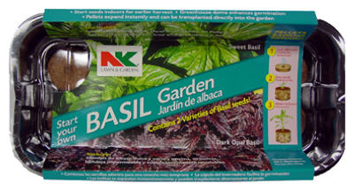 LOBELIA RIVIERA MIDNIGHT BL 6PK