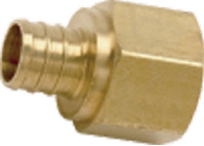 100PK 3/4x3/4 FPT Adapter