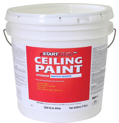 DC 2 Gal Brite White Ceil Paint
