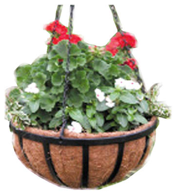 16" BLK WI Hang Basket