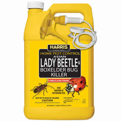 Harris Gallon Beetle Bug Killer