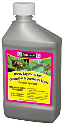 16OZ Conc Bagworm Spray 10082