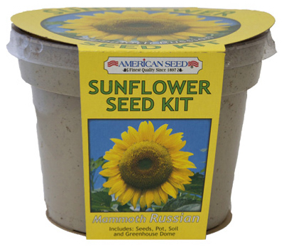 Russian Sunflower Kit