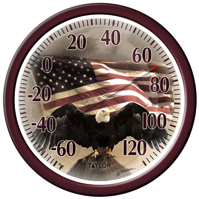 13.25 Flag & Eagle Thermometer