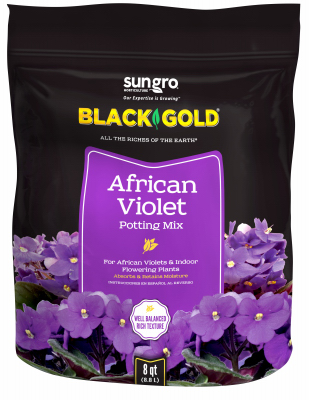 Black Gold 8QT African Violet Mix